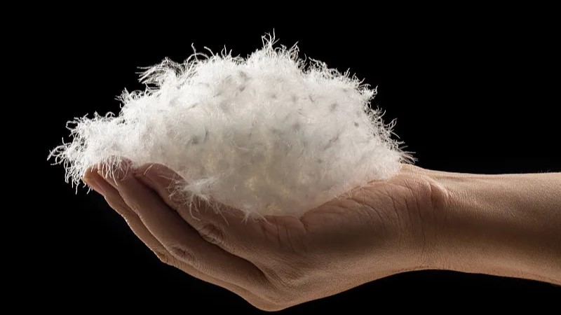 4招選對(duì)羽絨服，保暖過(guò)冬更省心